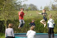 Children on a garden trampoline 
