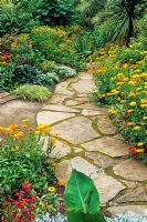 Crazy paving path bordered with Calendula 'Orange King' - Dewstow Garden and Grottoes, Caewent, Monmouthshire, wales