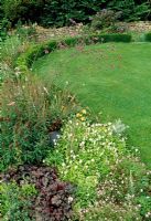 Heuchera 'Plum Pudding', Viola cornuta 'alba', Crocosmia 'Solfatare', Verbena bonariensis, Geranium 'Pink Delight' growing in summer border at Special plants, near Bath