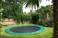 Contemporary urban garden with kids trampoline, wooden screen and plantings of Phormium 