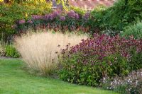 Summer border of Deschampsia cespitosa 'Goldtau', Echinacea purpurea 'Rubinstern', Persicaria amplexicaulis 'Firetail'