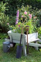 Vintage wooden wheelbarrow with summer flowers ready to plant. Delphinium, Rosa - Roses, Penstemon, Dianthus, Lavandula - Lavender, Nemesia