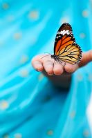 Danaus genutia - Striped tiger butterfly resting on girls hand