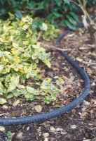 Seep-hose laid through a border can help to deliver water directly to the plants, rather than watering the entire soil surface encouraging weeds to germinate.