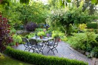 Seating area on terrace in country garden and Rosa 'Paul's Himalayan Musk' in background