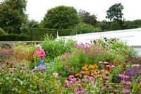Sarah Wain - Garden Manager, Glass house garden, West Dean,August 2007, UK