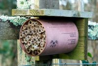 Bee nesting cylinder for red mason bees - RHS Rosemoor