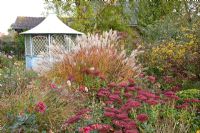 Flowerbed of Panicum virgatum, Miscanthus, Malus sargentii 'Tina' and Sedum, summerhouse in background