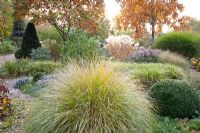 Pennisetum, Carex morrowii 'Variegata',  and Miscanthus gracillimus in mixed border