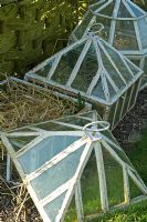Small glass cloche protection for plants. Pannells Ash Farm West, UK 