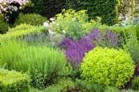 Herb garden borders of Foeniculum vulgare, Salvia and Origanum vulgare 'aureum'
 