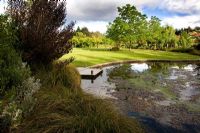 Pond surrounded by grasses, shrubs and trees - Breedenbroek, New Zealand