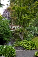 Zantedeschia - Arum lilies, and massed Hostas and Astelias along Waimairi stream. Local Halswell stone was used to construct steps and retaining walls. Christchurch, New Zealand