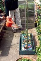 A frame provides a support system for tall plants in grow bags