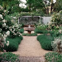 Gravel paths and fountain in Rose Garden. Northern California, USA