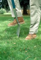 Planting bulbs into a lawn. Cut a section of turf along three sides and, once you've created a flap, peel back the upper surface to expose the soil beneath the grass