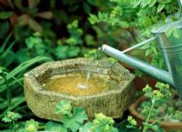Topping up birdbath with water