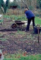 Preparing a plot - Put the soil from trench into a wheelbarrow, this soil will be used later on elsewhere