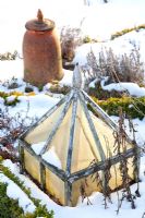 Cloche in winter garden