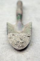 Sandy soil sample on vintage garden trowel