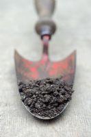 Silty soil sample on vintage garden trowel