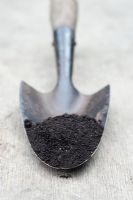 Fenland Peat soil sample on vintage garden trowel