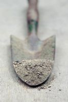 Sandy soil sample on vintage garden trowel