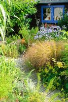 Timber path with Stipa arundinacea, Agapanthus, Alchemilla mollis and Rosmarinus -  Rosemary. Garden shed painted dark brown with window picked out in blue paint.
