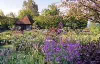 Late Spring border of Lunaria - Honesty and Athyrium ravens. Private garden, Sussex
