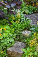 Stone steps lead up to a paved area bordered with planting including Corylus maximus 'Purpurea', Geum, Hosta, Alchemilla mollis, Primula, Gallium odoratum and Ferns. The 'Music on the Moors' garden - Gold medal winner at RHS Chelsea Flower Show 2010 