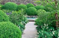 Path lined with Astrantia major 'White Giant', Iris sibirica, Cenolophium denudatum, Asarum europaeum and clipped Buxus sempervirens - Box balls.The Laurent-Perrier Garden, Gold medal winner, RHS Chelsea Flower Show 2010 
 