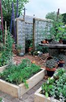 Greenhouse made from used empty plastic bottles in vegetable gardeN - Places of Change, Silver medal winner at RHS Chelsea Flower Show 2010