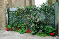 A forgotton corner in Highbury brightened up with planting by guerrilla gardeners Islington North London