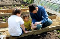 Family sowing seed in a communal vegetable plot on the Olden Garden, a community garden in Highbury, Islington UK