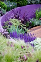 Raised bed with purple painted wall