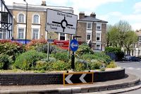Municipal planting of shrubs and flowers on a Hackney Roundabout London UK 