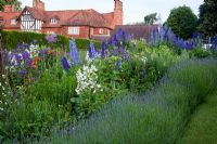 Summer border of Lavandula, Delphinium, Campanula and Papaver orientalis with Arts and Craft house beyond, borders originally designed by Gertrude Jekyll - The Manor House, Upton Grey