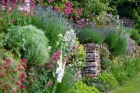 Mixed summer border alongside stone wall. The Manor House, Upton Grey