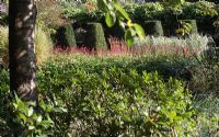 Border in informal country garden with Polygonum persicaria, Grasses and topiary