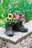 Pansies growing in old walking boots - Sedbury Park Secret Garden, Orchard House, Sedbury Park, Monmouthshire