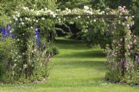 Wooden pergola with Rosa 'Francois Juranville' and 'Rosa 'Albéric Barbier' in informal country garden, July 