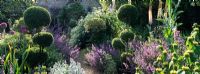 Early summer perennials, topiary and shrubs including Allium, Nepeta, Stachys, Phlomis, Onopordum, Eremurus, Clematis, Buxus, Ilex and Nectaroscordum border a gravel path at Goulters Mill Farm, Wiltshire