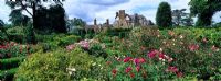 The Rose Garden at Loseley Park