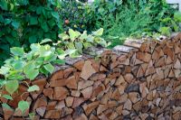 Rustic Log stack garden wall. 'Food 4 Thought' - Gold Medal Winner - RHS Hampton Court Flower Show 2010 
 