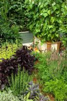 Dense planting of vegetables and herbs in small garden. 'Food for Thought' - Silver Gilt Medal Winner - RHS Hampton Court Flower Show 2010 