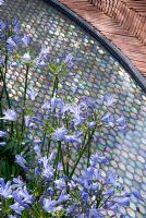 Agapanthus 'Blue Cloud' next to a rainbow effect water feature and herringbone tiled path. 'The Garden Lounge' - Silver Gilt Medal Winner - RHS Hampton Court Flower Show 2010 
 