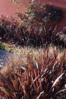 Dark foliage of Phormium tenax 'Black Adder', Phormium 'Phoenix', Carex flagellifera and Heuchera 'Marmalade' - 'Skirk' - Bronze Medal Winner - RHS Hampton Court Flower Show 2010