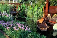 Curcuma along waters edge in a Bangkok riverside home - Reflections of Thailand - Sala Rim Nam - House by the River, Gold medal winner at RHS Hampton Court Flower Show 2010
 
