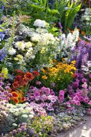 Border of Dahlia, Antirrhinum, Dianthus, Delphinium, Gaillardia, Cosmos bipinnatus, Verbena, Salvia and Ajuga - 'Birchfield', Silver medal winner, RHS Hampton Court Flower Show 2010 
 