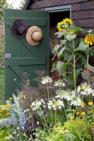 Flowerbed near shed - Cosmos, Calendula, Fennel, Helianthus, Agapanthus and Salvia - RHS Hampton Court Palace Flower Show 2010